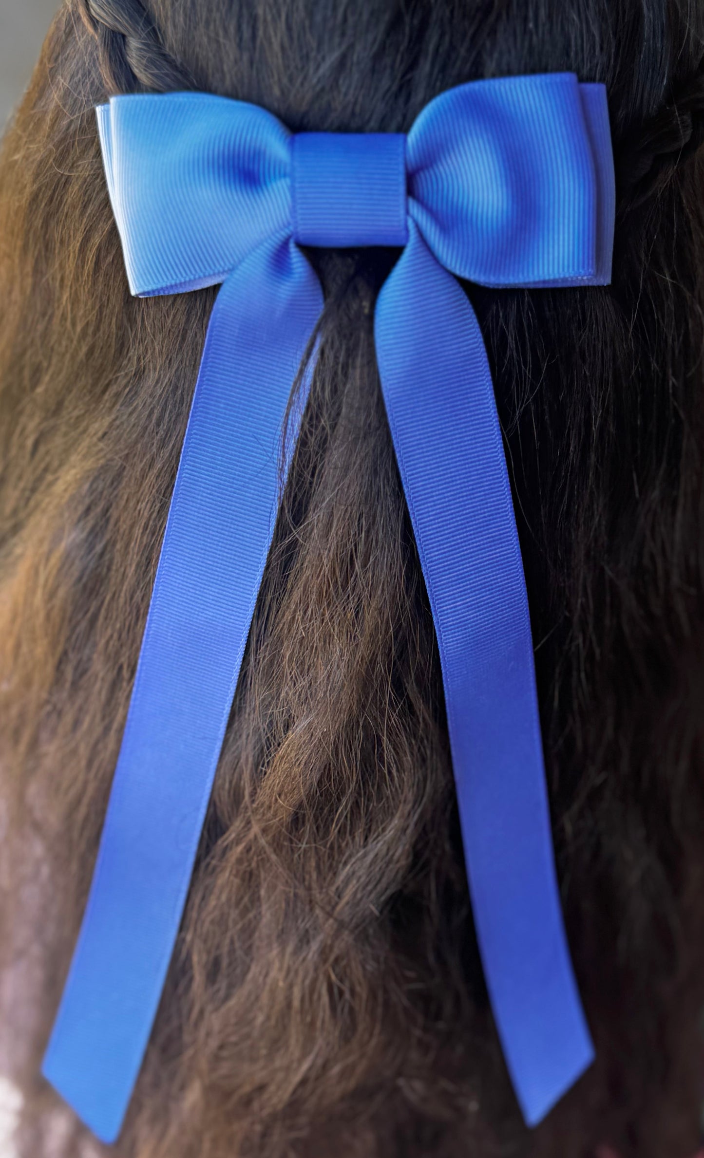 periwinkle bow