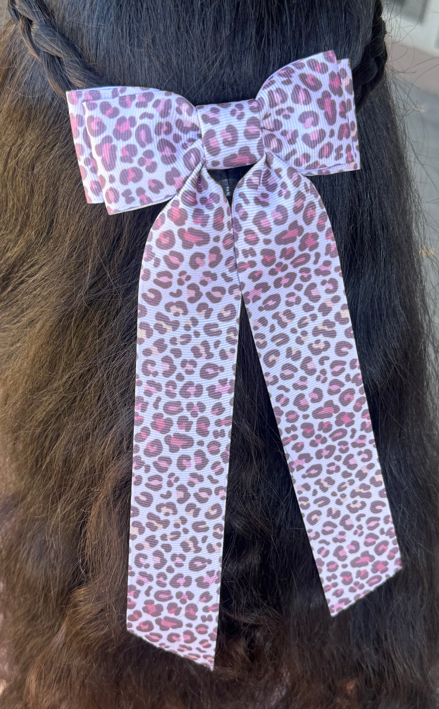 sunset leopard